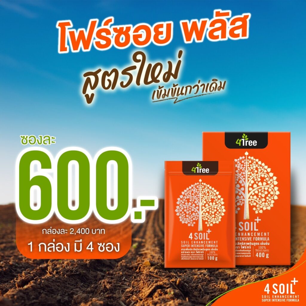 4 Soil+ 1ซอง