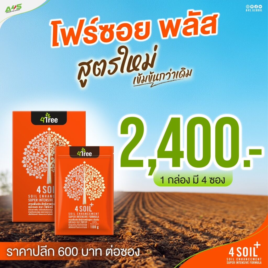 4 Soil+ 1กล่อง