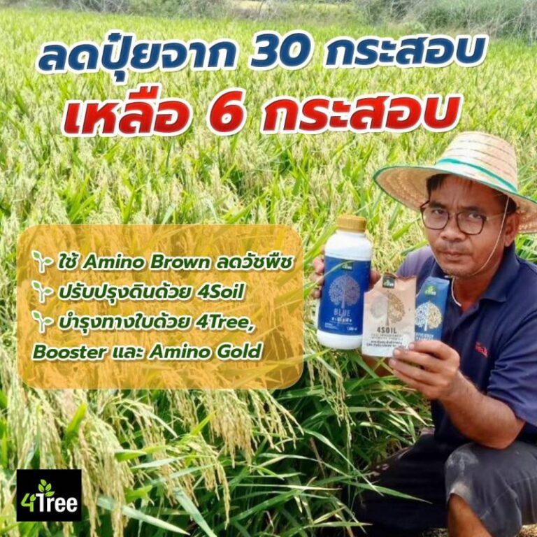 4Tree พลิกชีวิตชาวนาไทย เพิ่มผลผลิต ลดต้นทุน เห็นผลในฤดูเดียว!