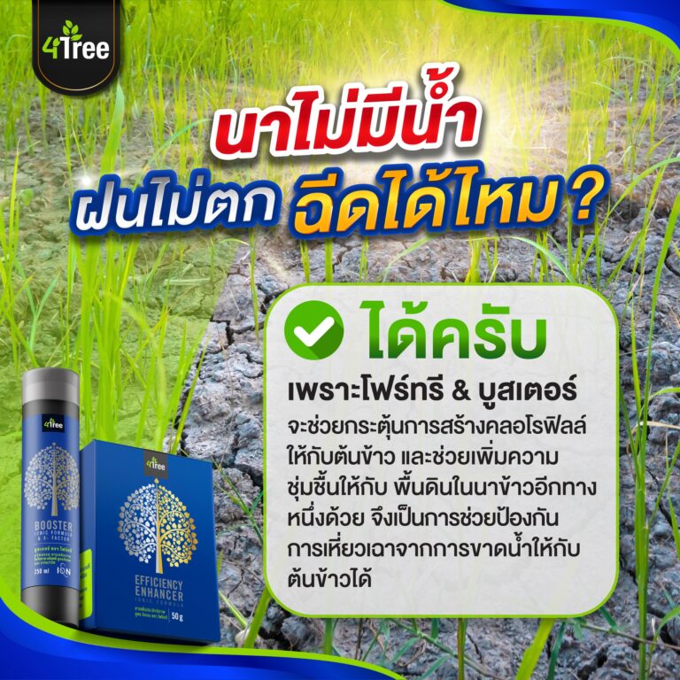 นาไม่มีน้ำ ฝนไม่ตก ฉีดโฟร์ทรีได้ไหม?