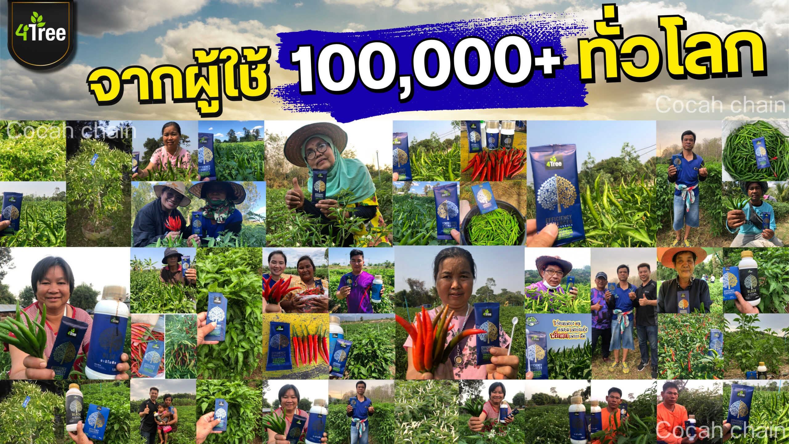 4treeพริก